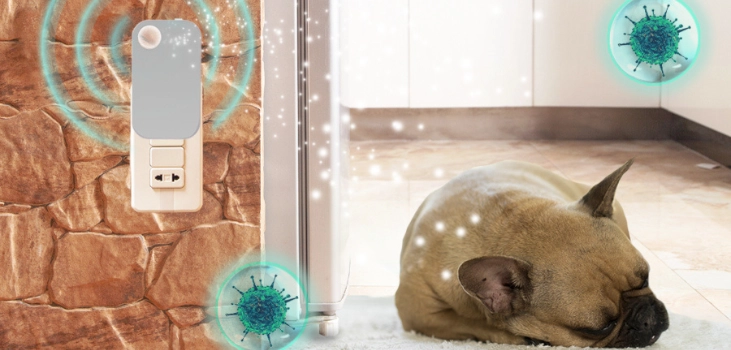 dog sleeping peacfully thanks to ionpure