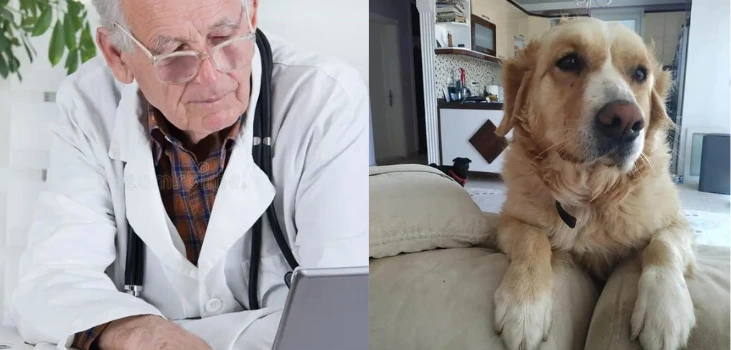 Blast Auxiliary Premium HEPA Air Cleaner doctor searches for an air purifier to battle pet allergies