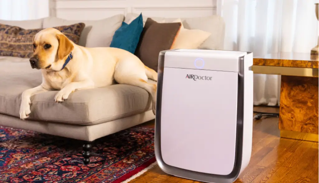 dog in a living room besides AirDoctor 3000