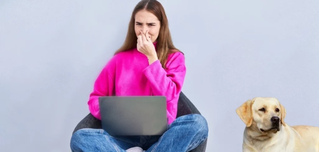 Blast Auxiliary girl sitting on chair holding nose to pet odors